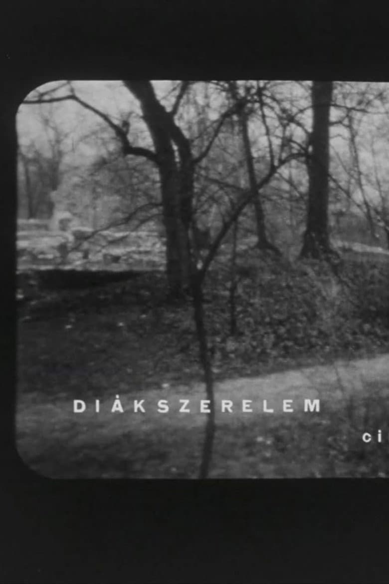 Diákszerelem poster