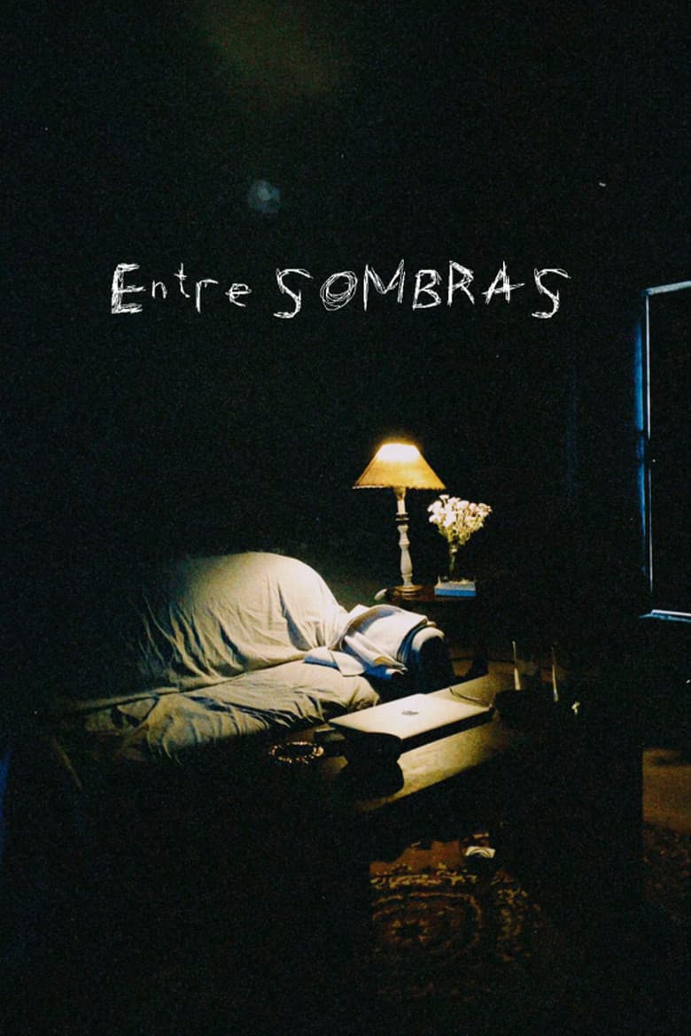 Entre sombras poster