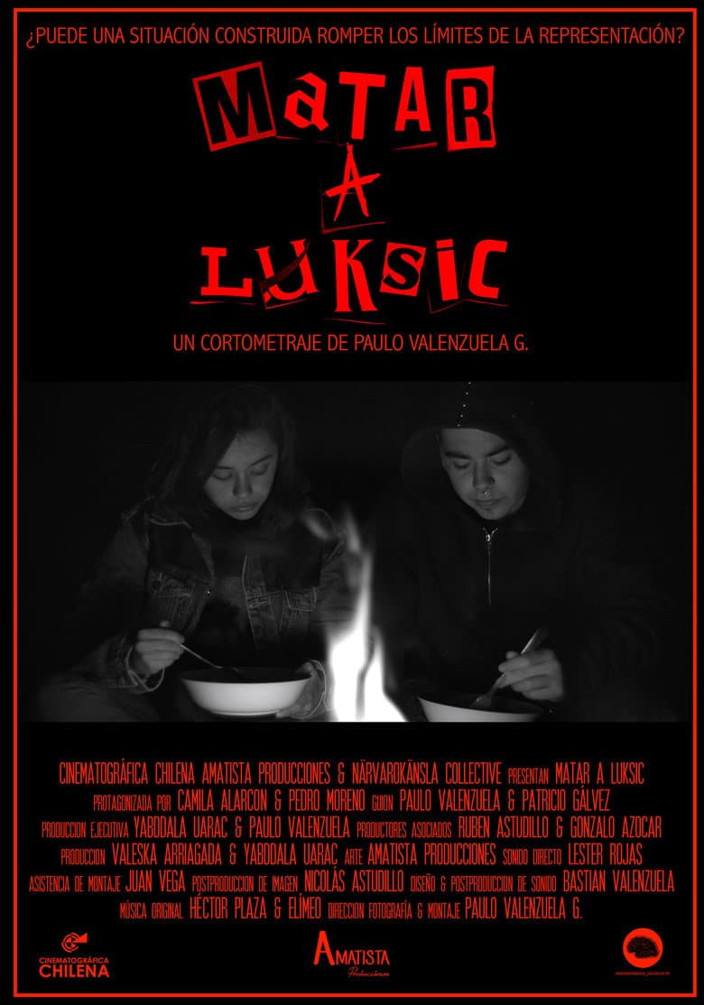 Matar a Luksic poster