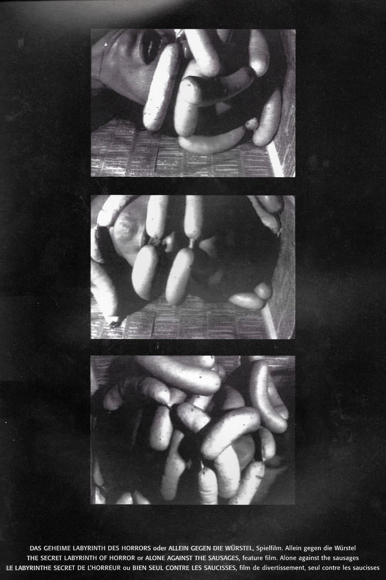 Das geheime Labyrinth des Horrors poster