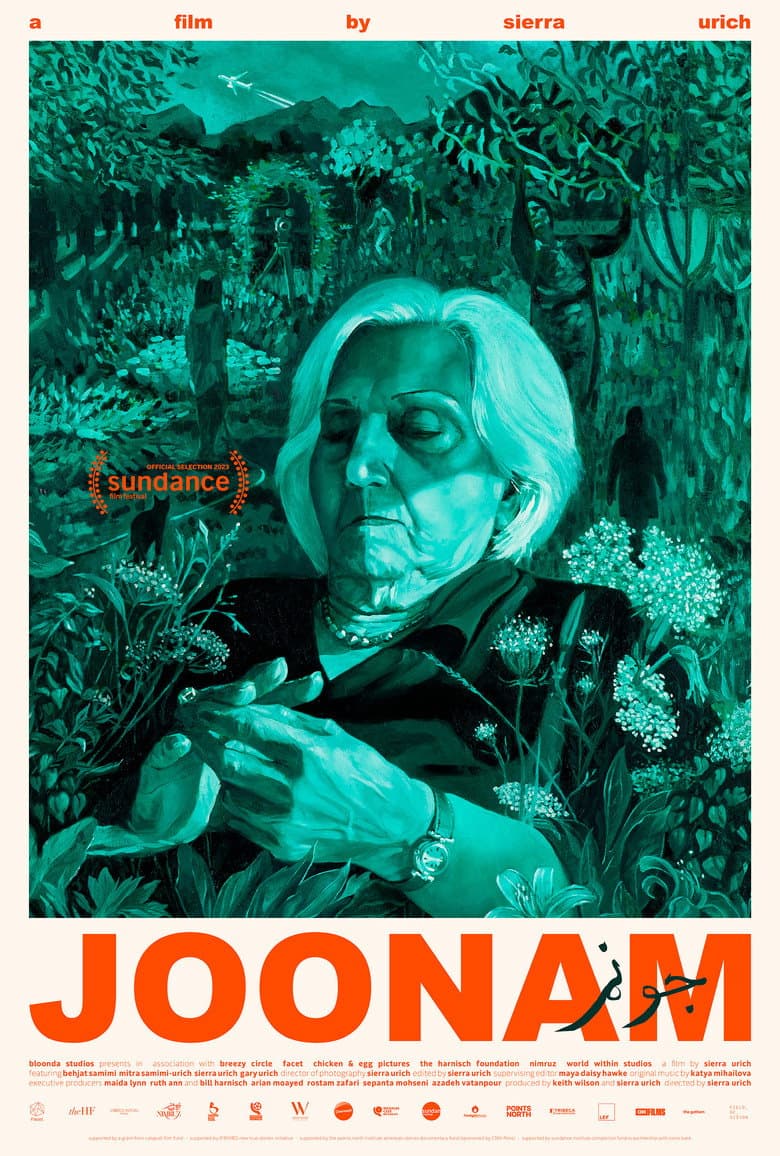 Joonam poster