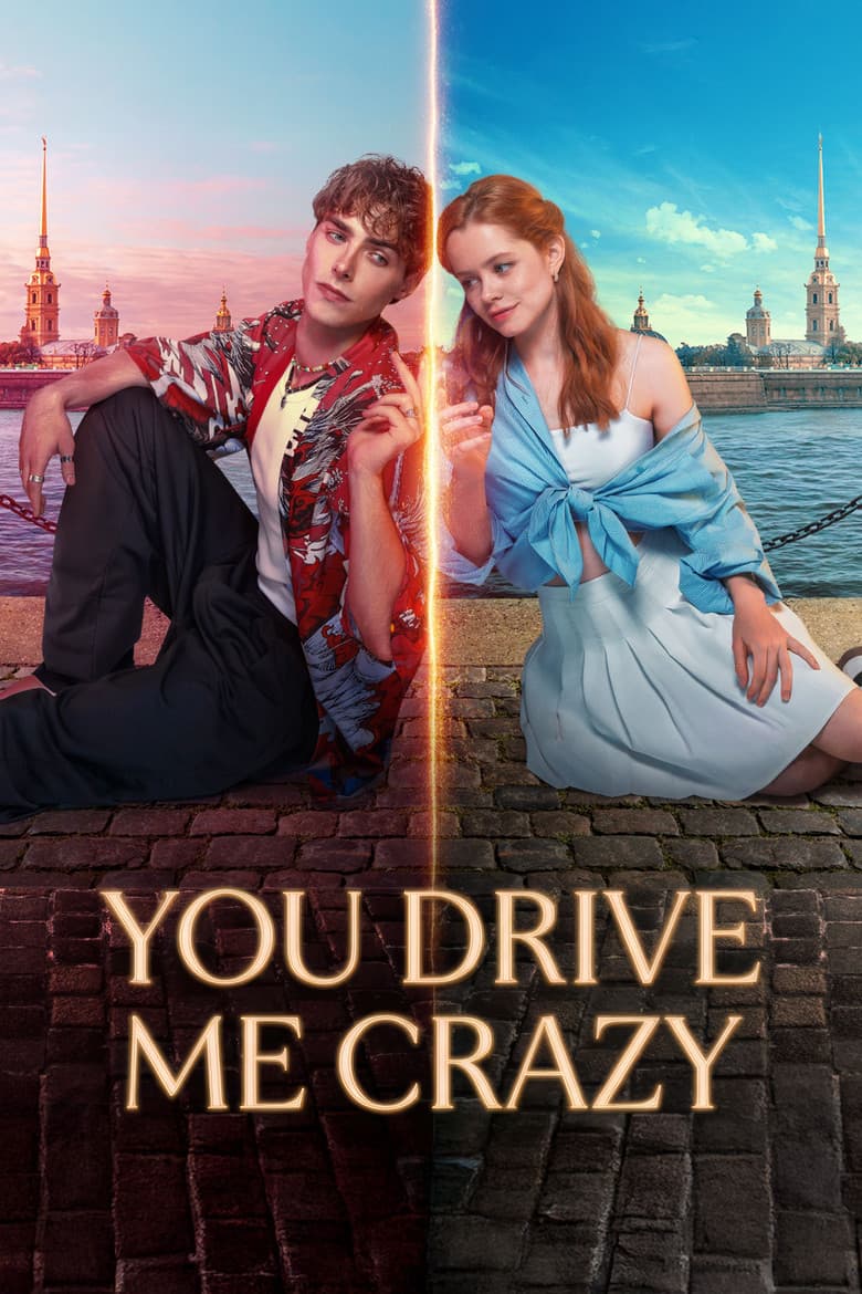 You Drive Me Crazy poster