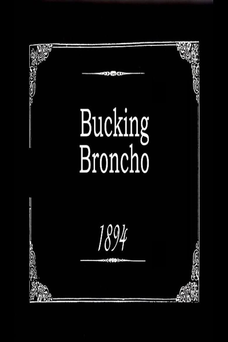 Bucking Broncho poster