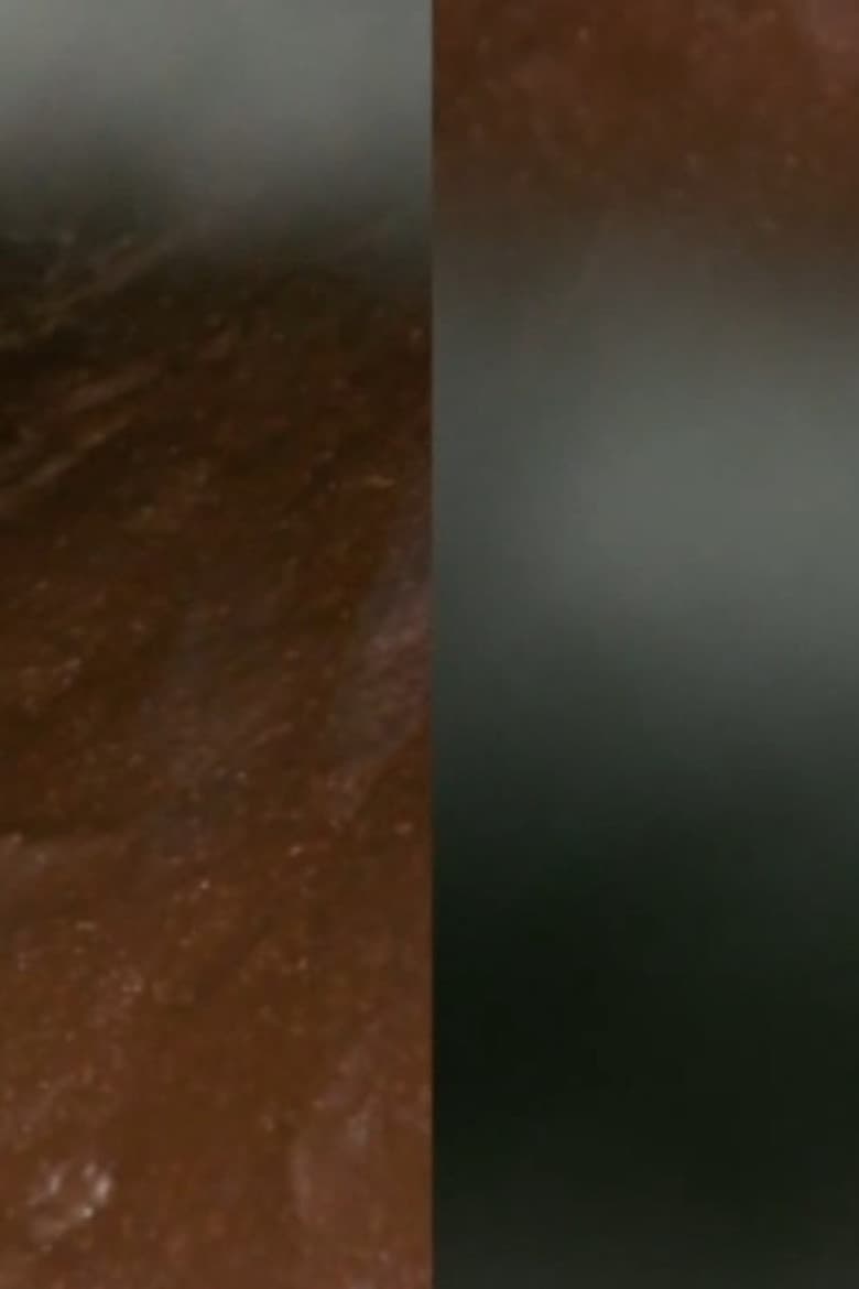 And the Earth Opened poster