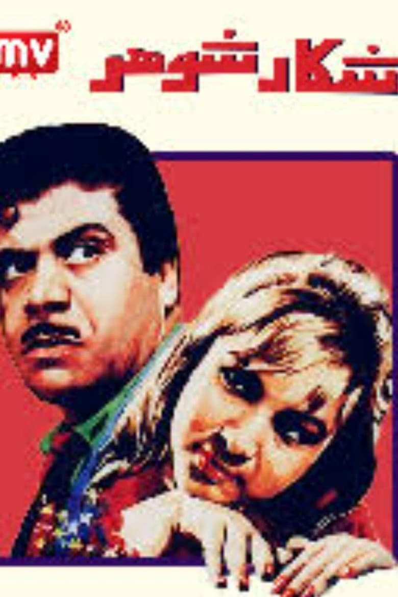 Husband Hunting poster