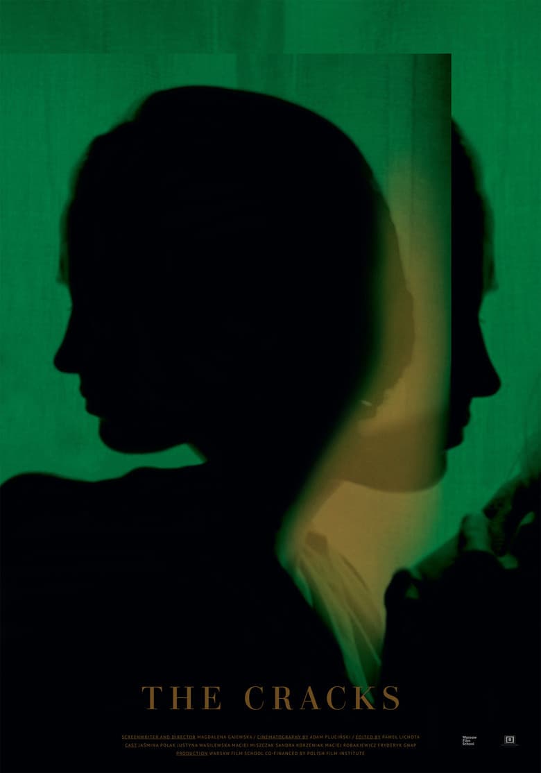 The Cracks poster