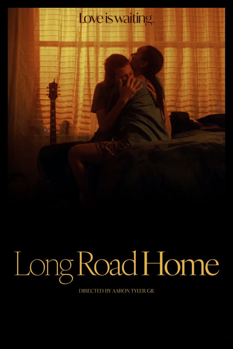 Long Road Home poster
