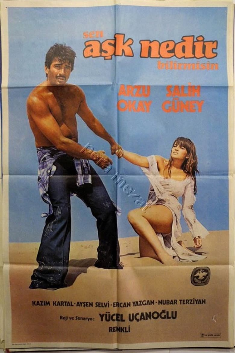 Sen Aşk Nedir Bilir Misin poster