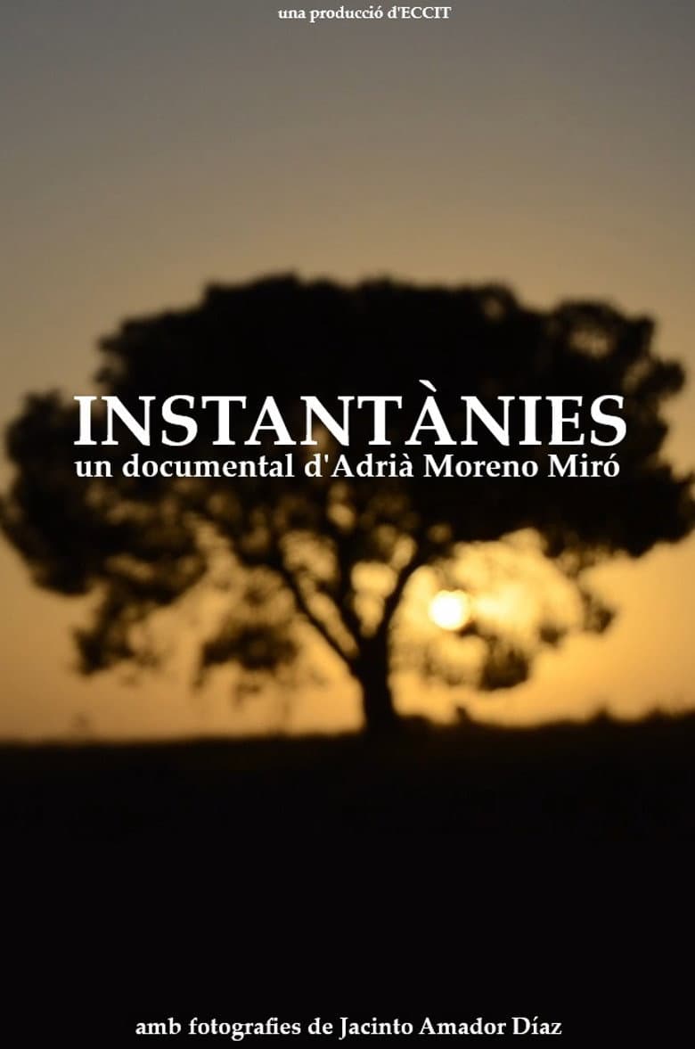 Instantànies poster