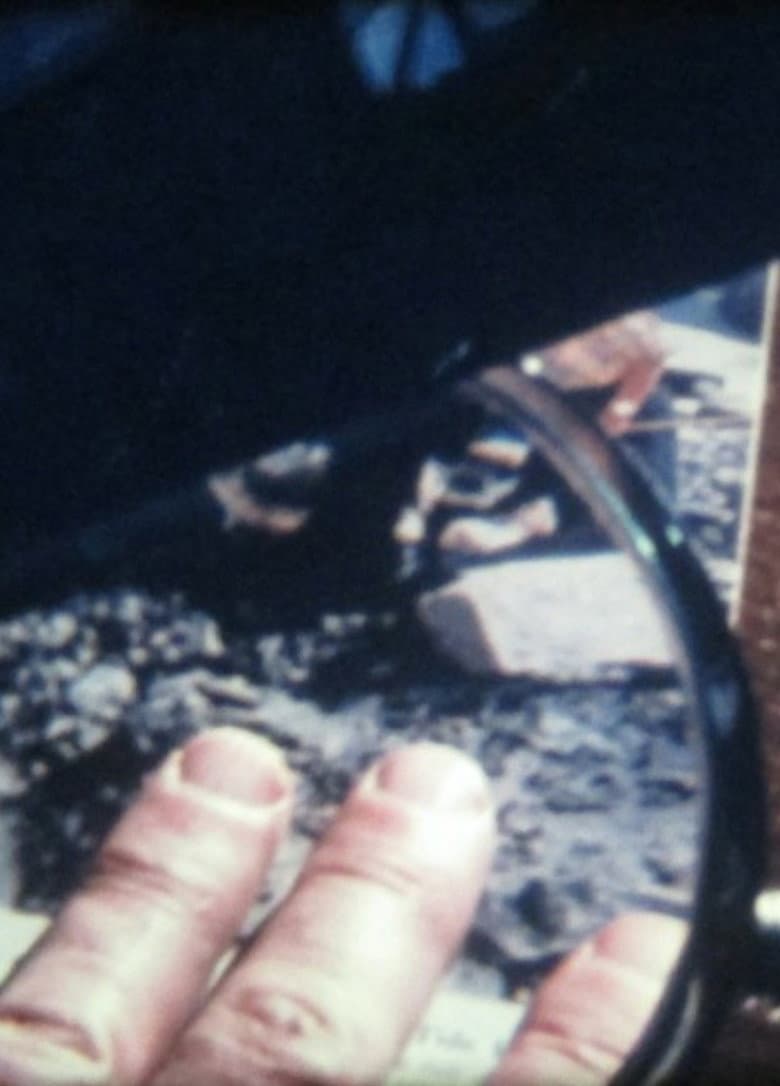 Episodes from the Secret Life poster