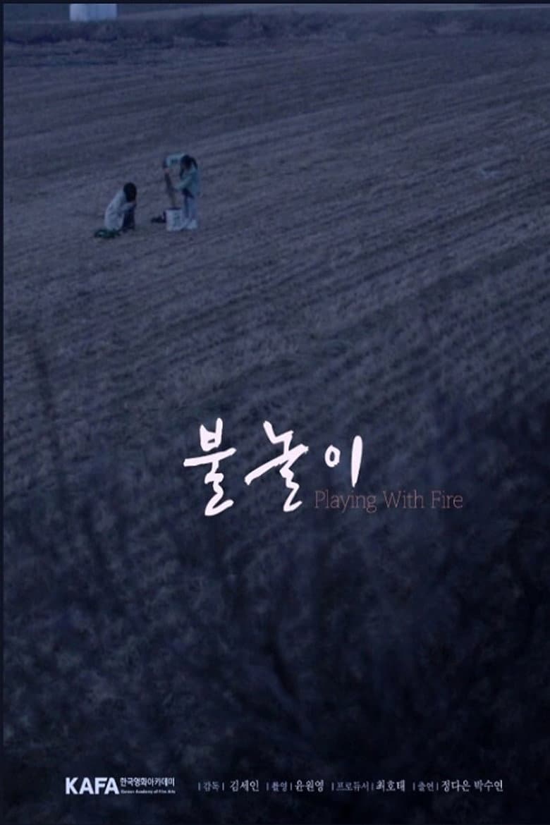 Playing with Fire poster