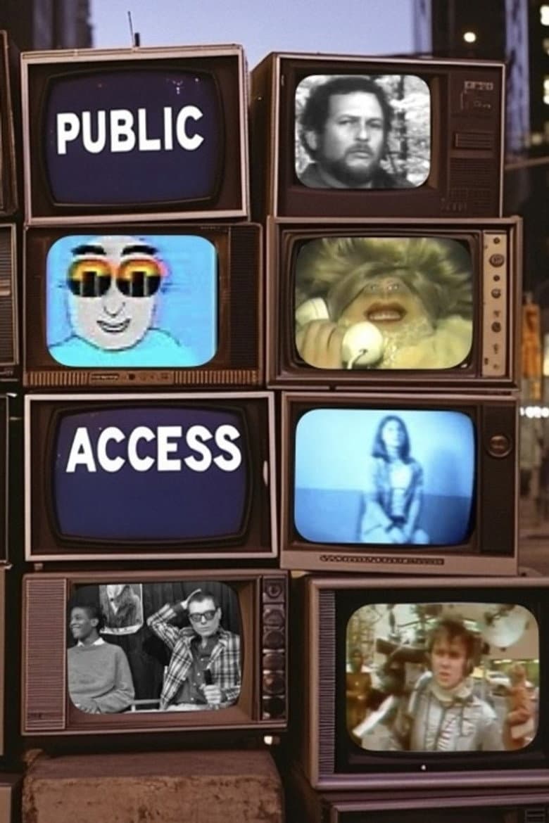 Public Access poster