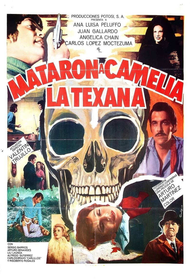 Mataron a Camelia la Texana poster