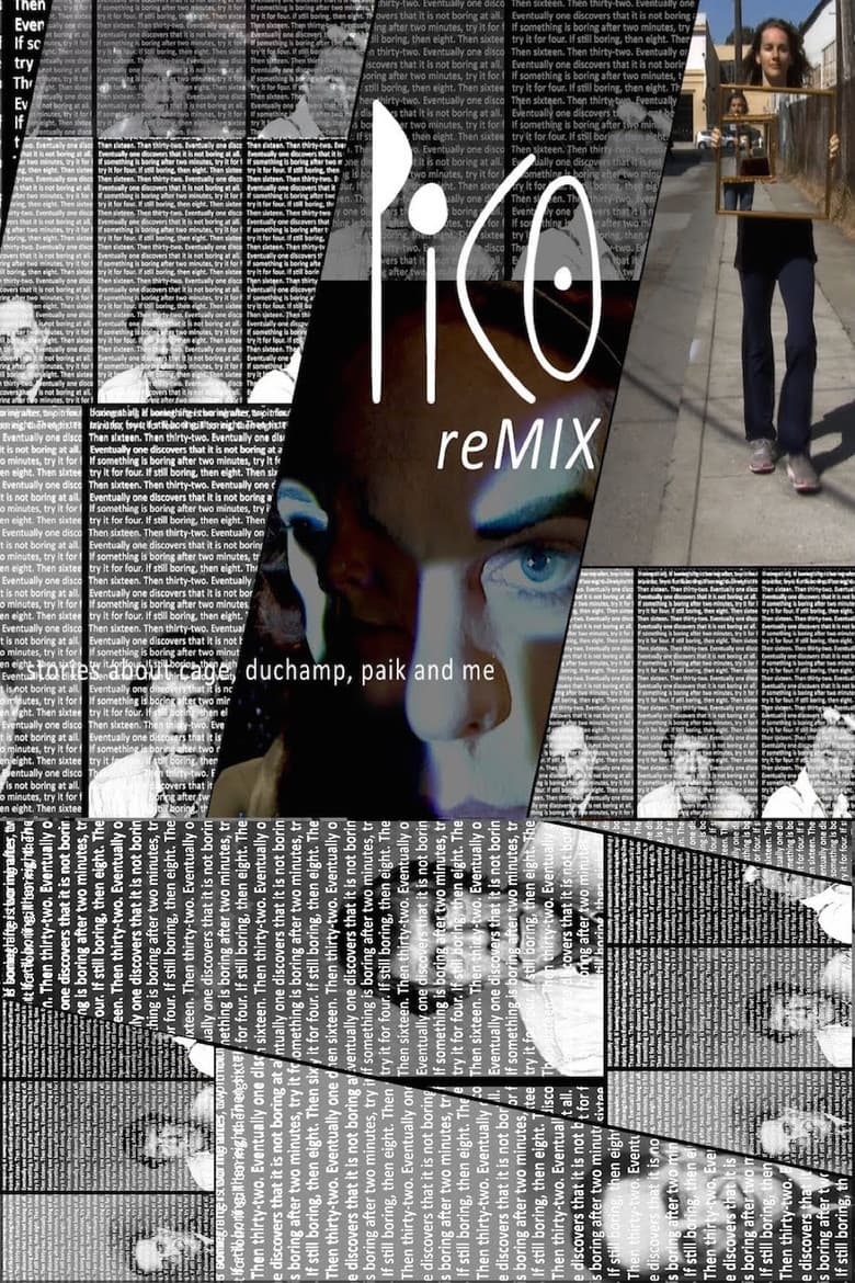 PICO (reMIX) poster