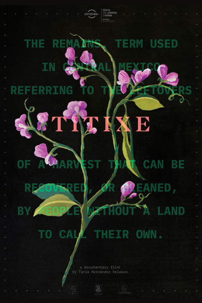 Titixe poster