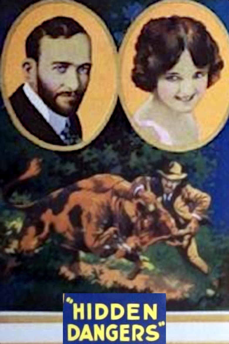 Hidden Dangers poster