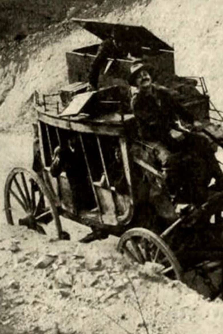 The Driver Of The Deadwood Coach poster
