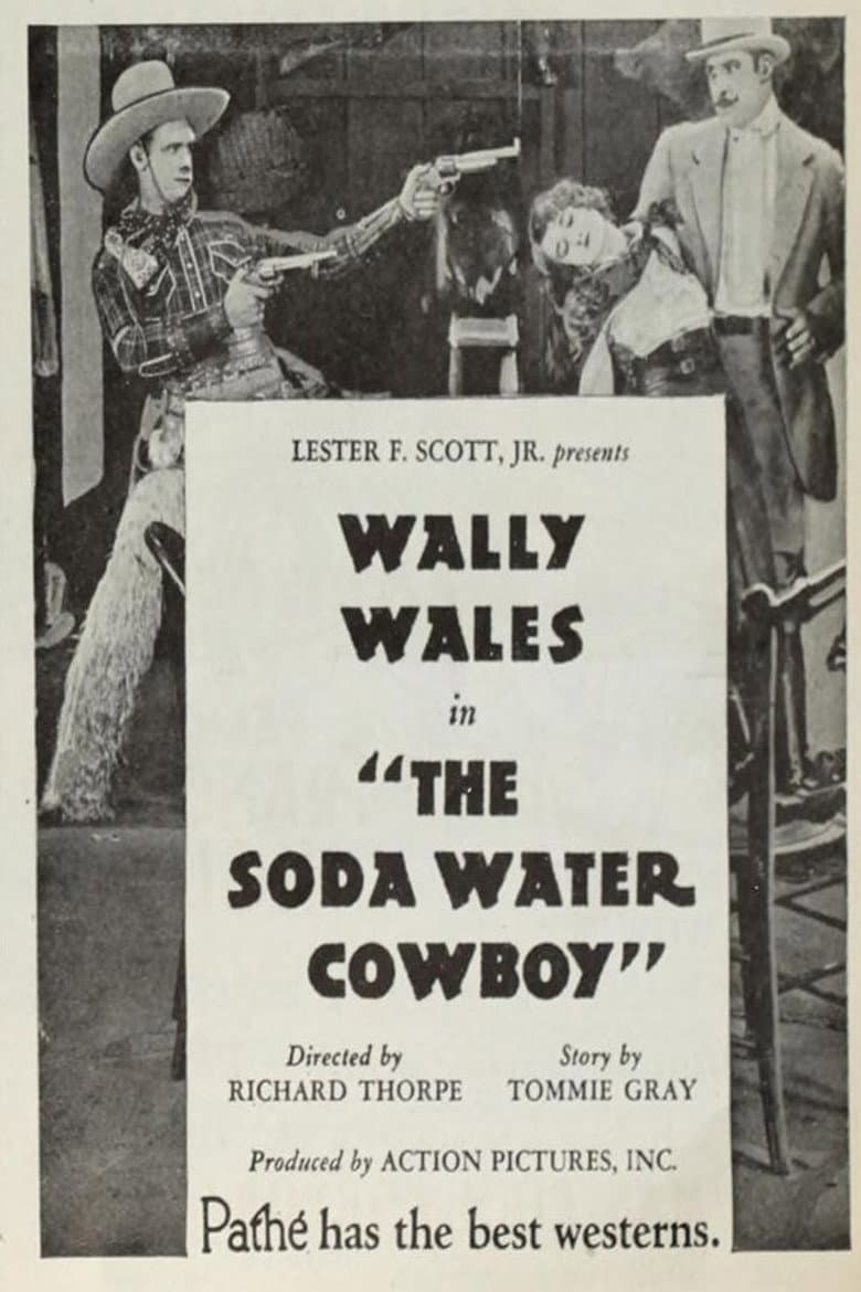 The Soda Water Cowboy poster