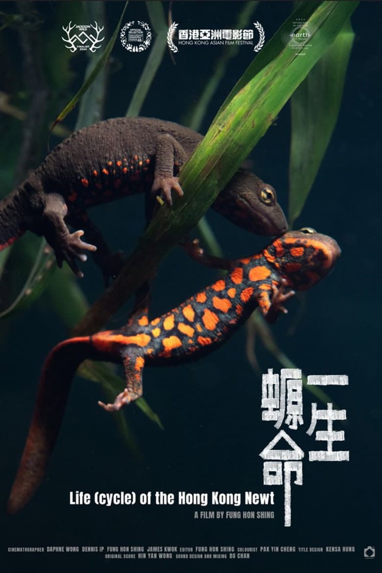 Life (cycle) of the Hong Kong Newt poster