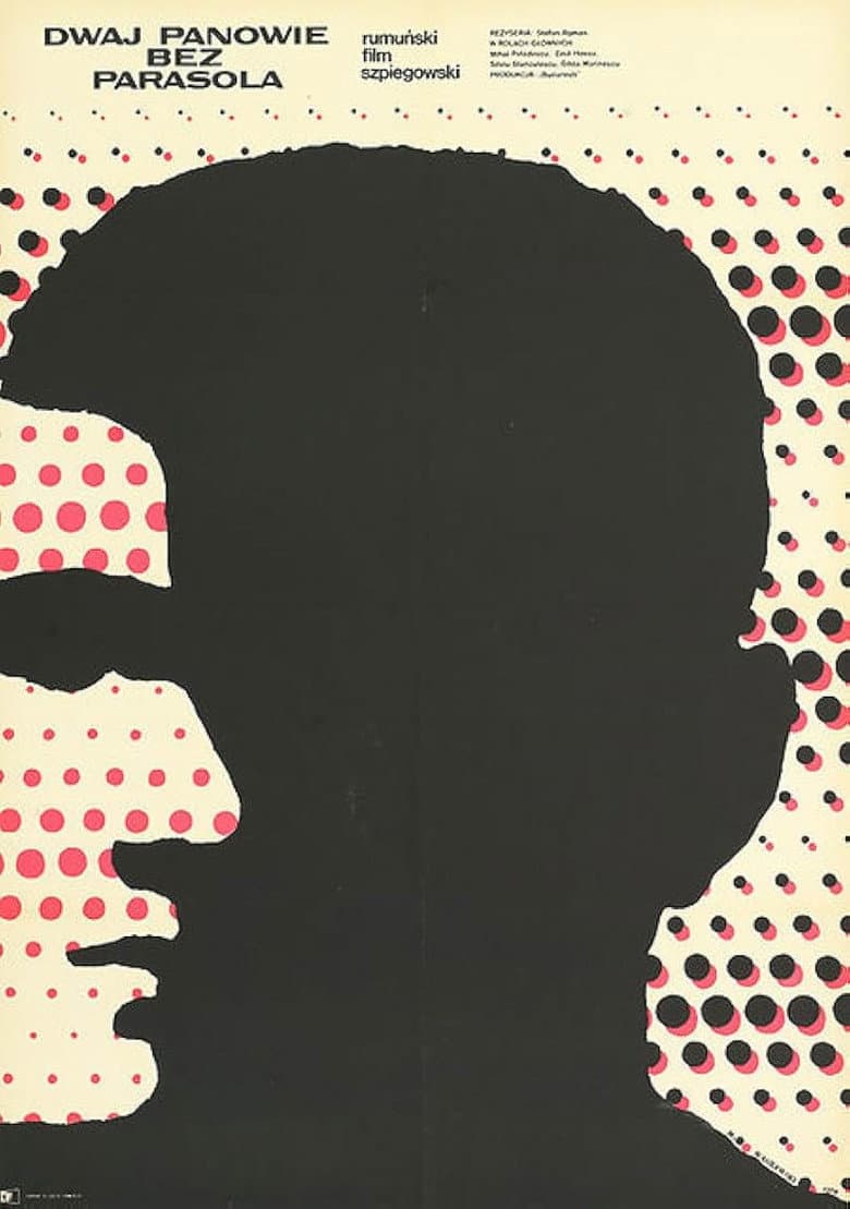 The Likeable Mister R. poster