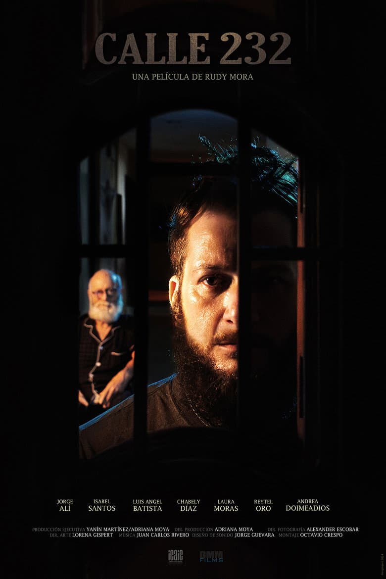 Calle 232 poster