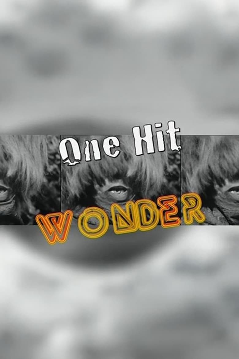 One Hit Wonder poster