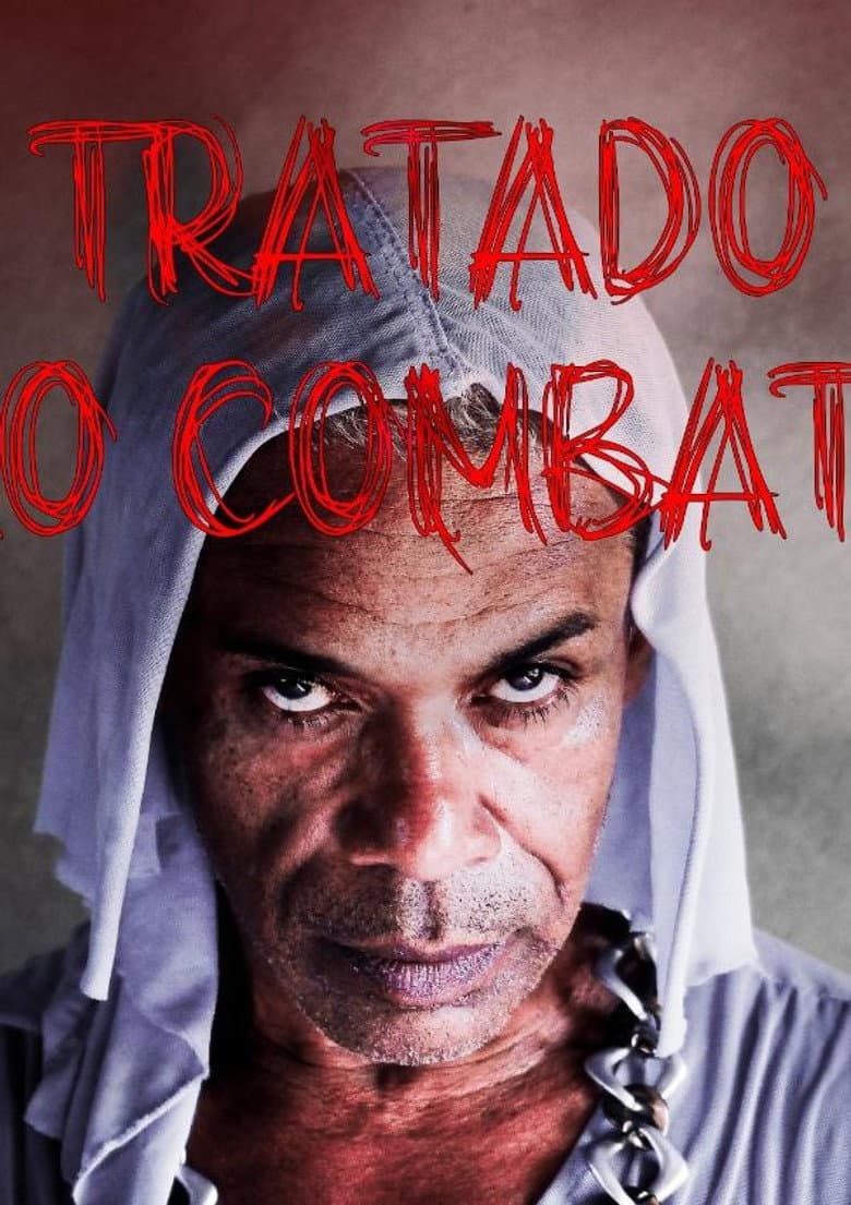 O Tratado do Vão Combate ou A Pequena História de uma Bixinha Qualquer poster