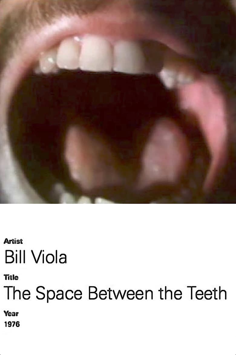 The Space Between the Teeth poster