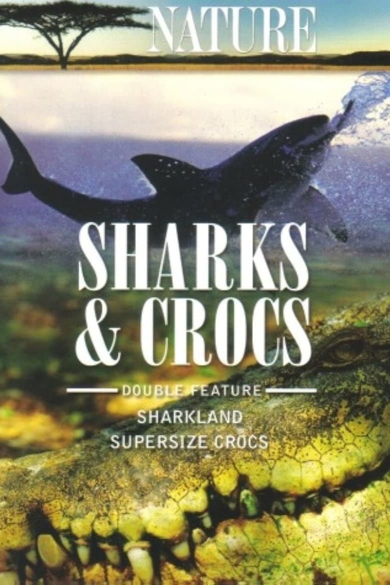 Sharkland poster