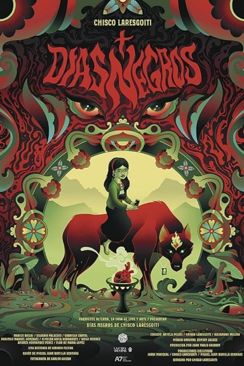 Días Negros: Chamula poster