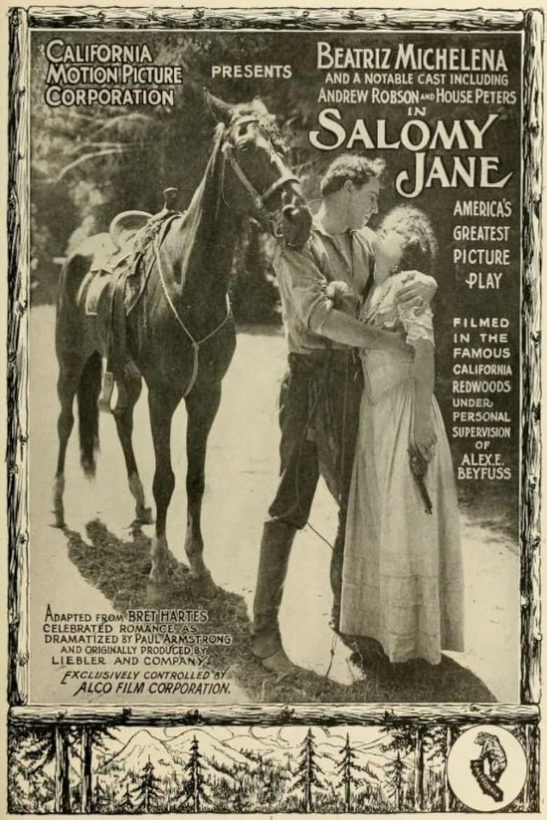 Salomy Jane poster