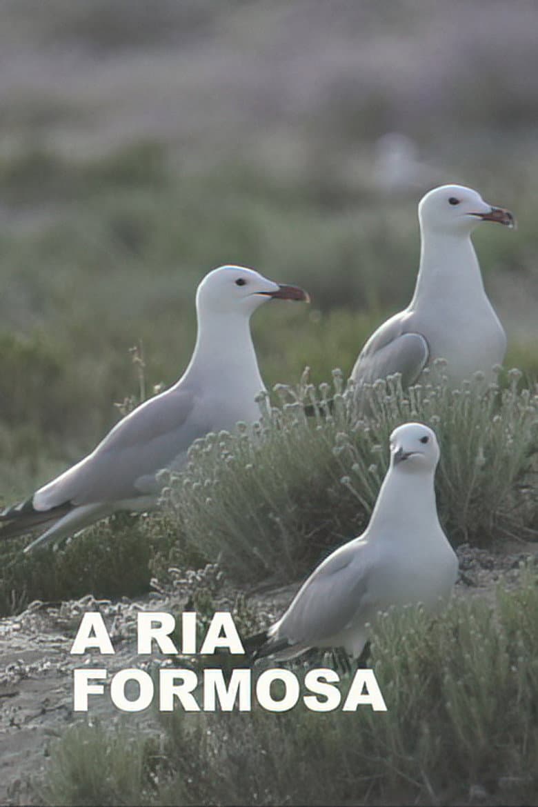 A Ria Formosa poster