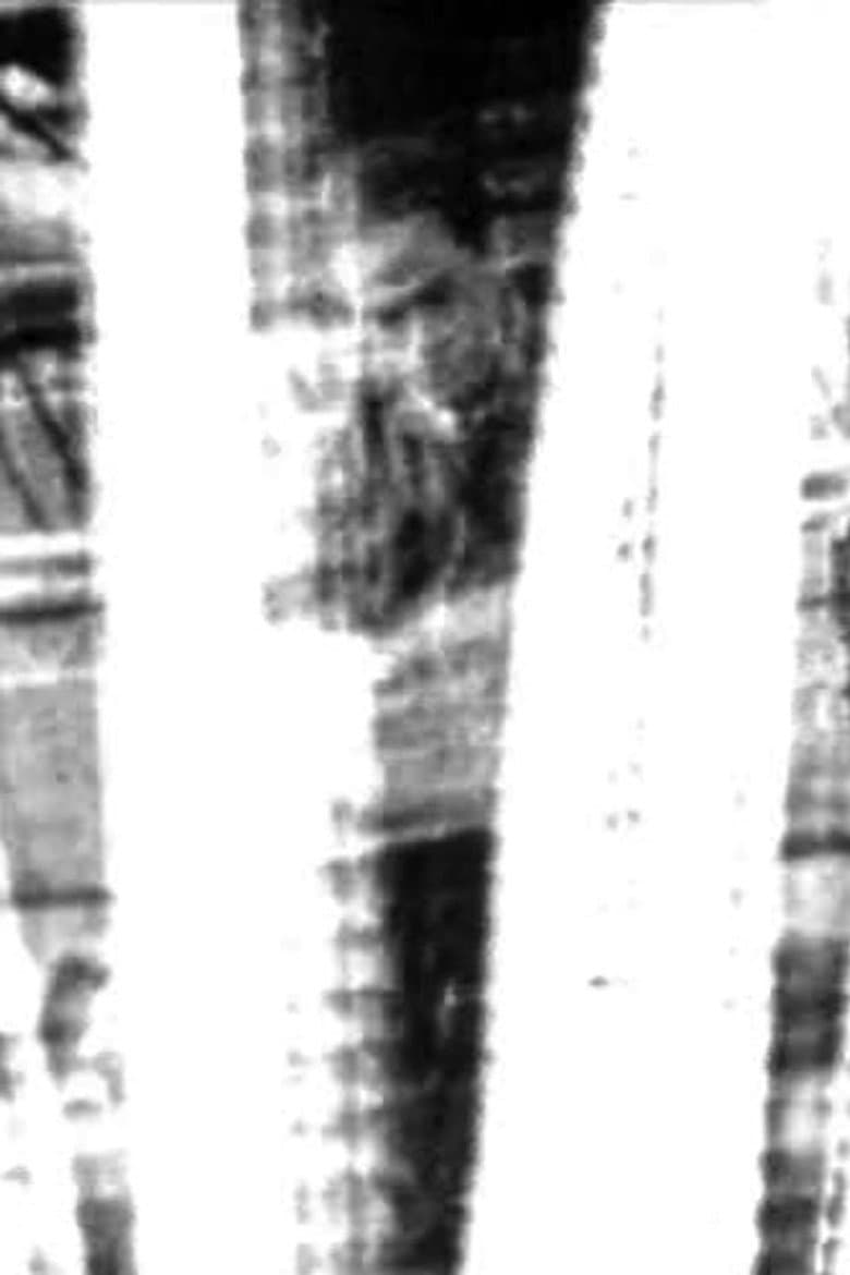 Addio o Arrivederci poster