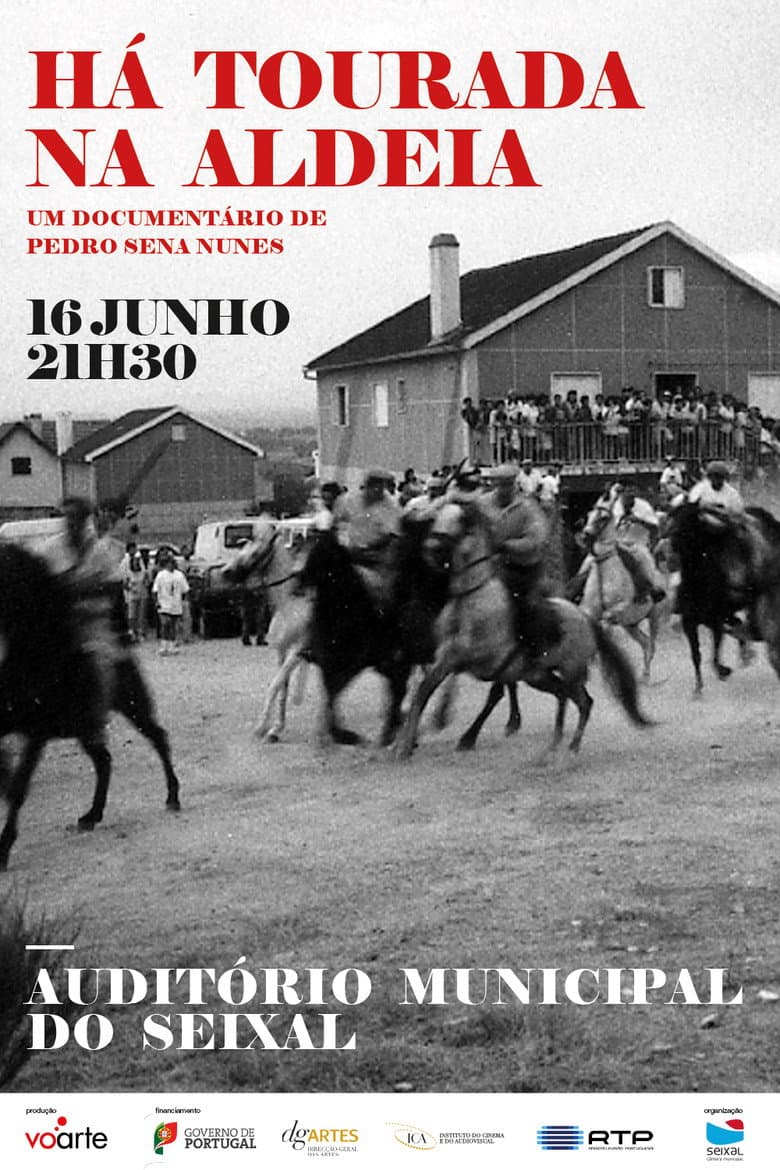 Há Tourada na Aldeia poster