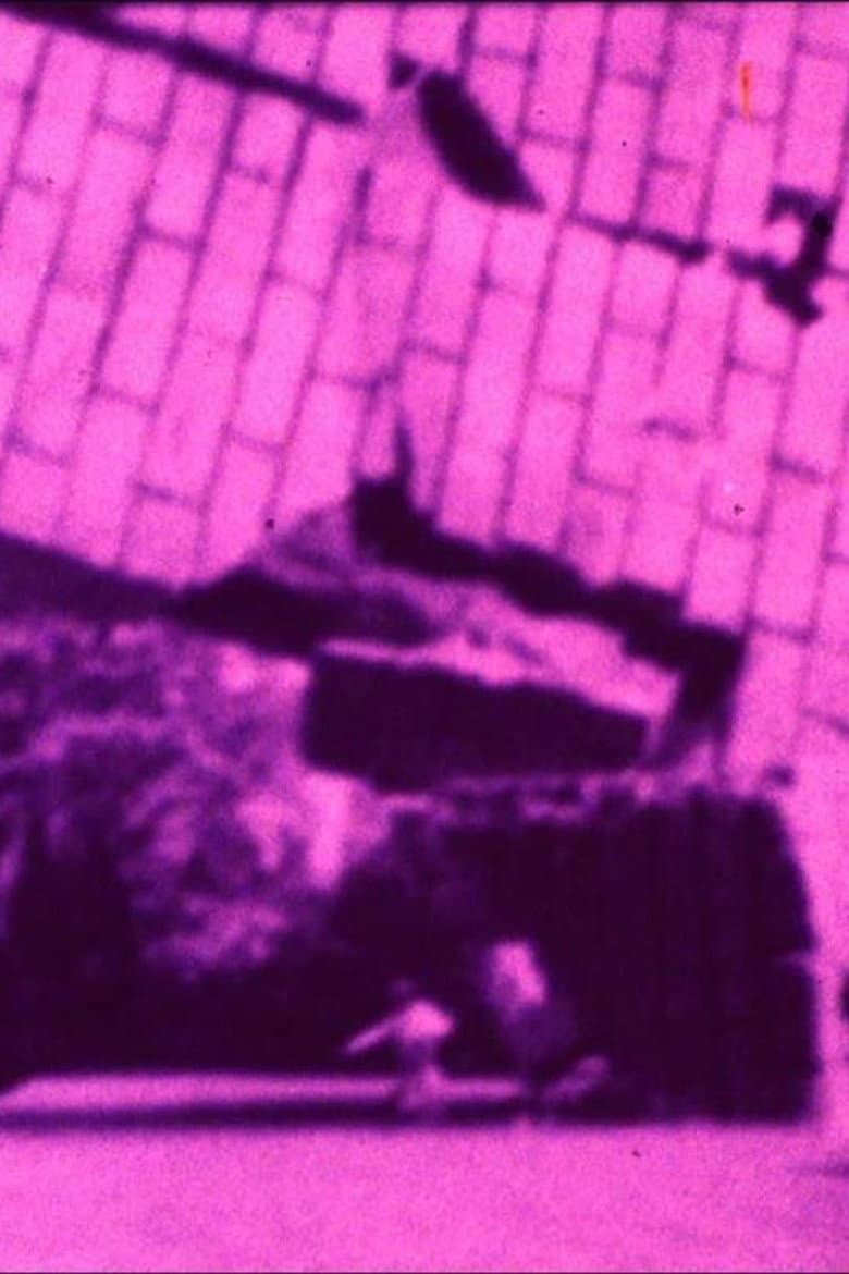 Something is Seen But One Doesn't Know What poster