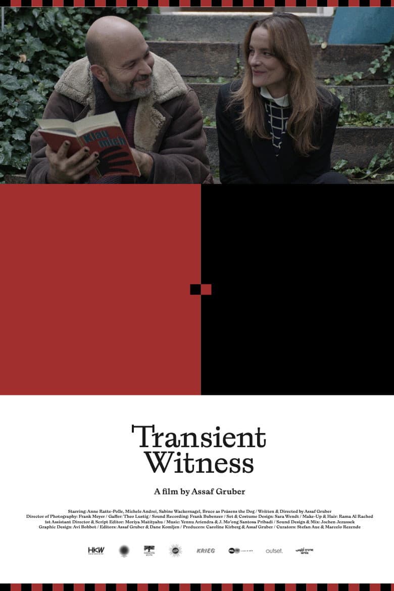 Transient Witness poster