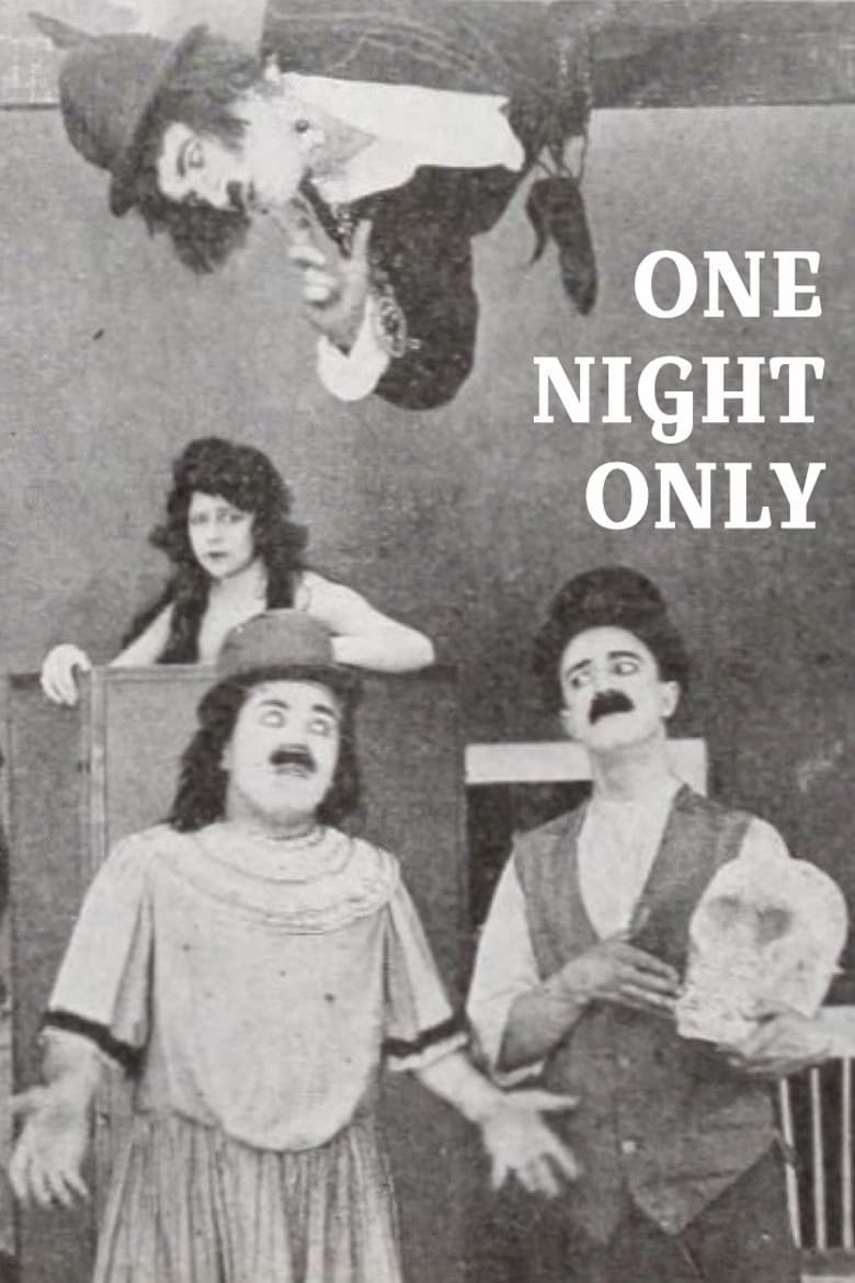 One Night Only poster