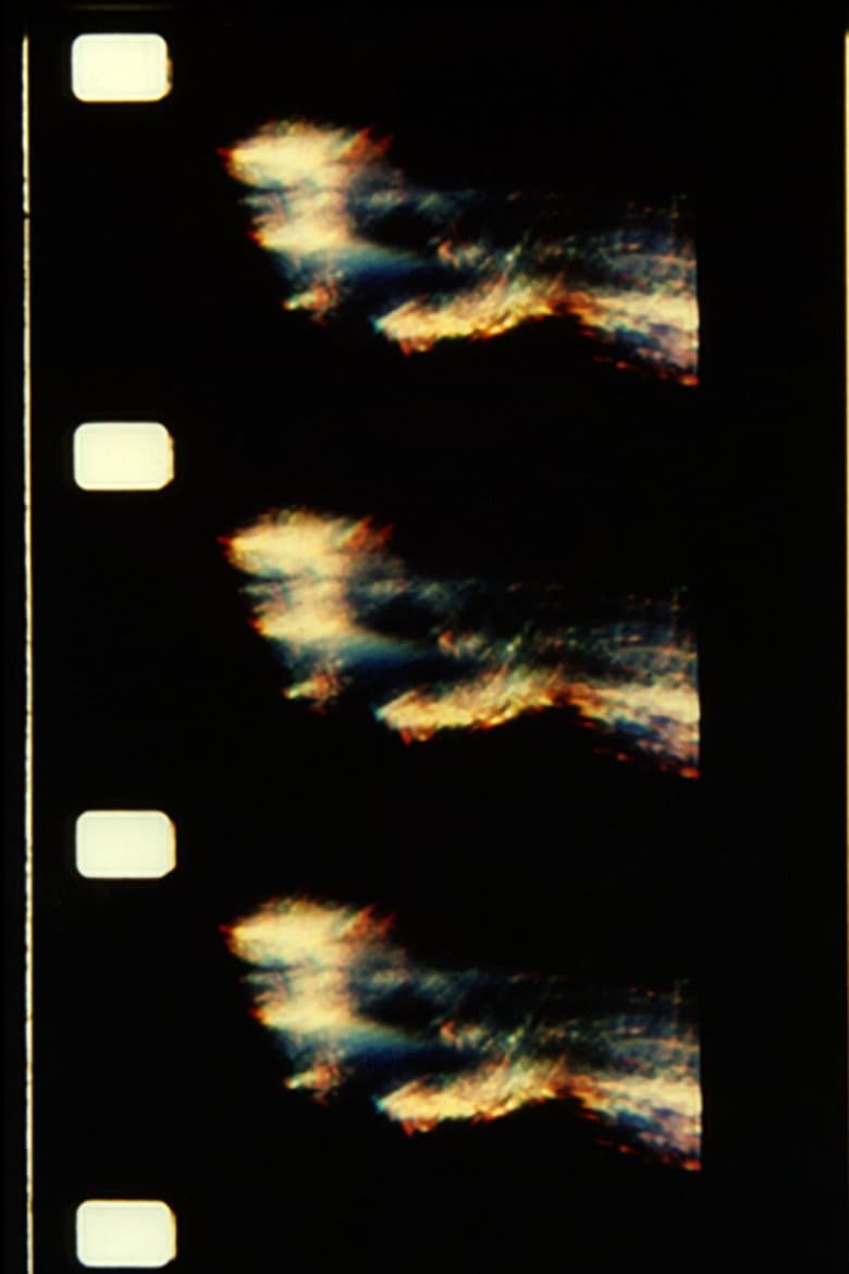 The Text of Light poster