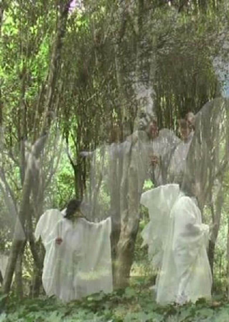 Il fascino dell'impossibile poster