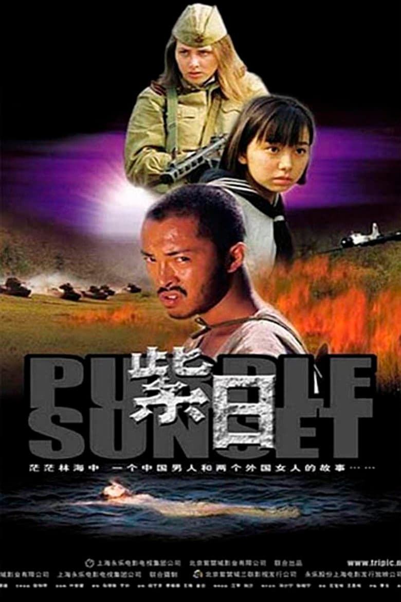 Purple Sunset poster