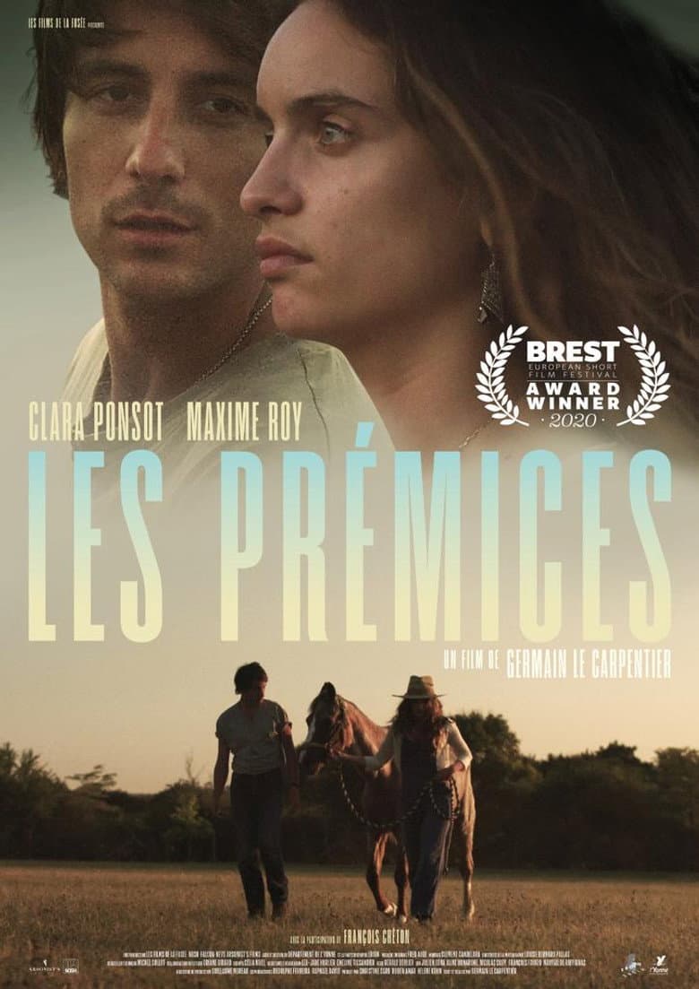 The Beginnings poster