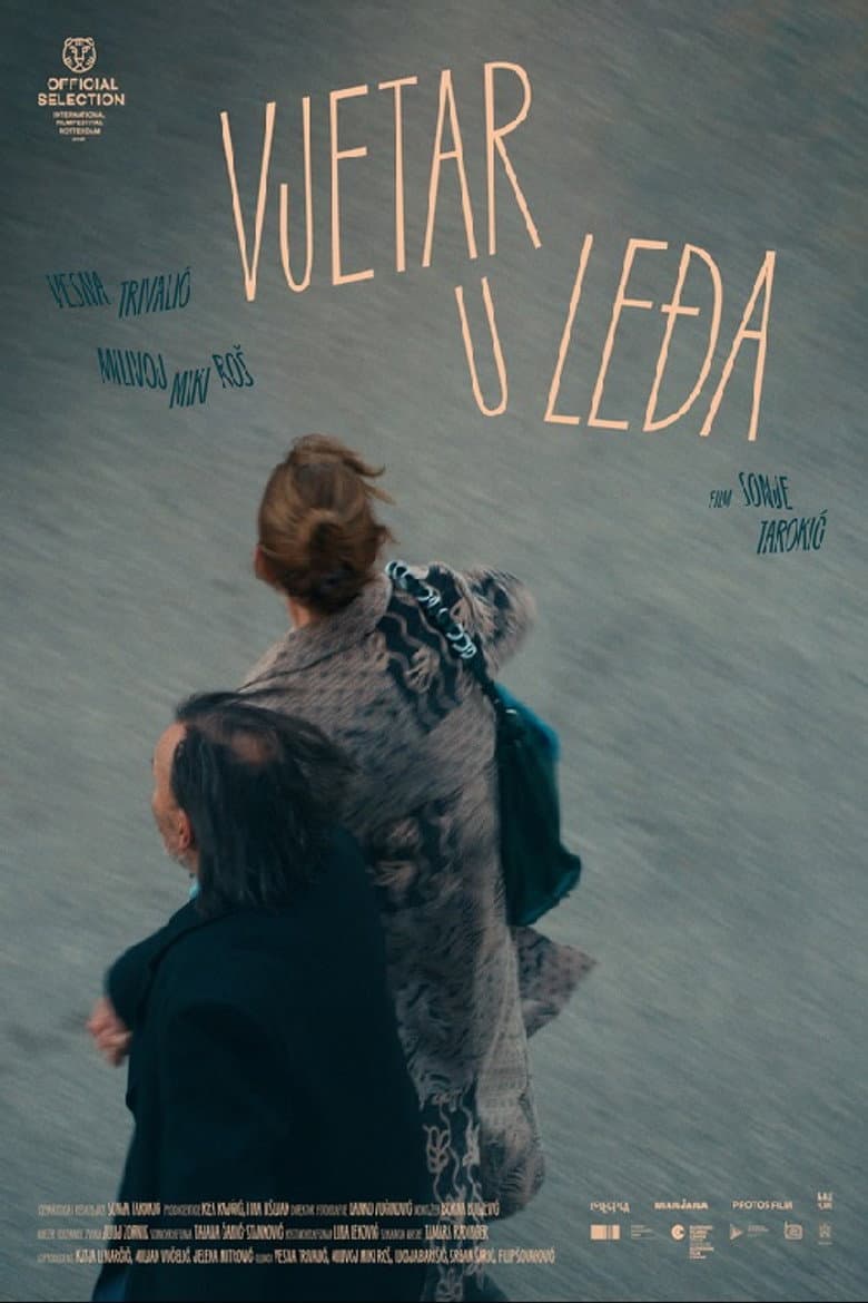 Wind Beneath the Wings poster