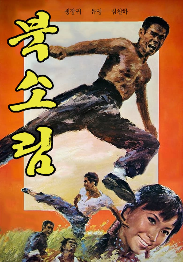 Tiger of Northland poster