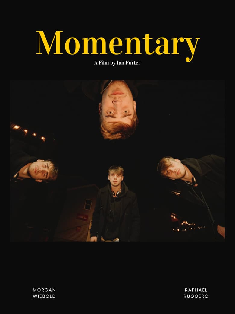 Momentary poster