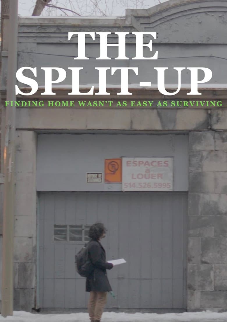 The Split-Up poster