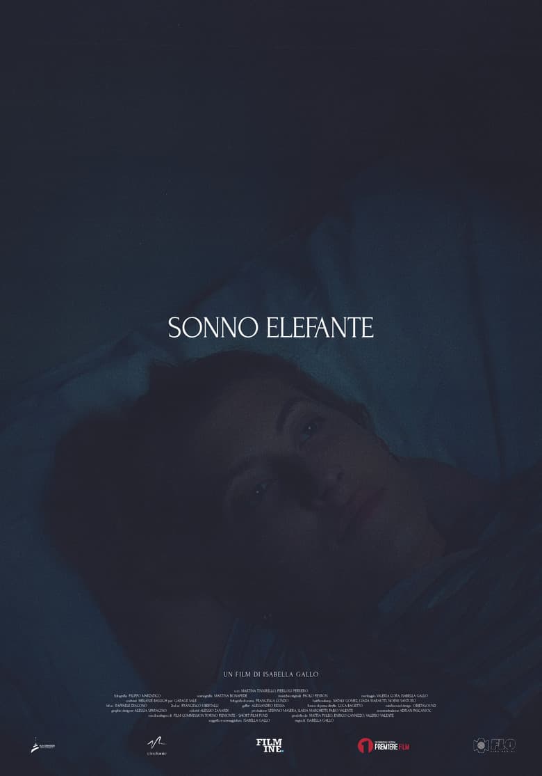 Sonno Elefante poster