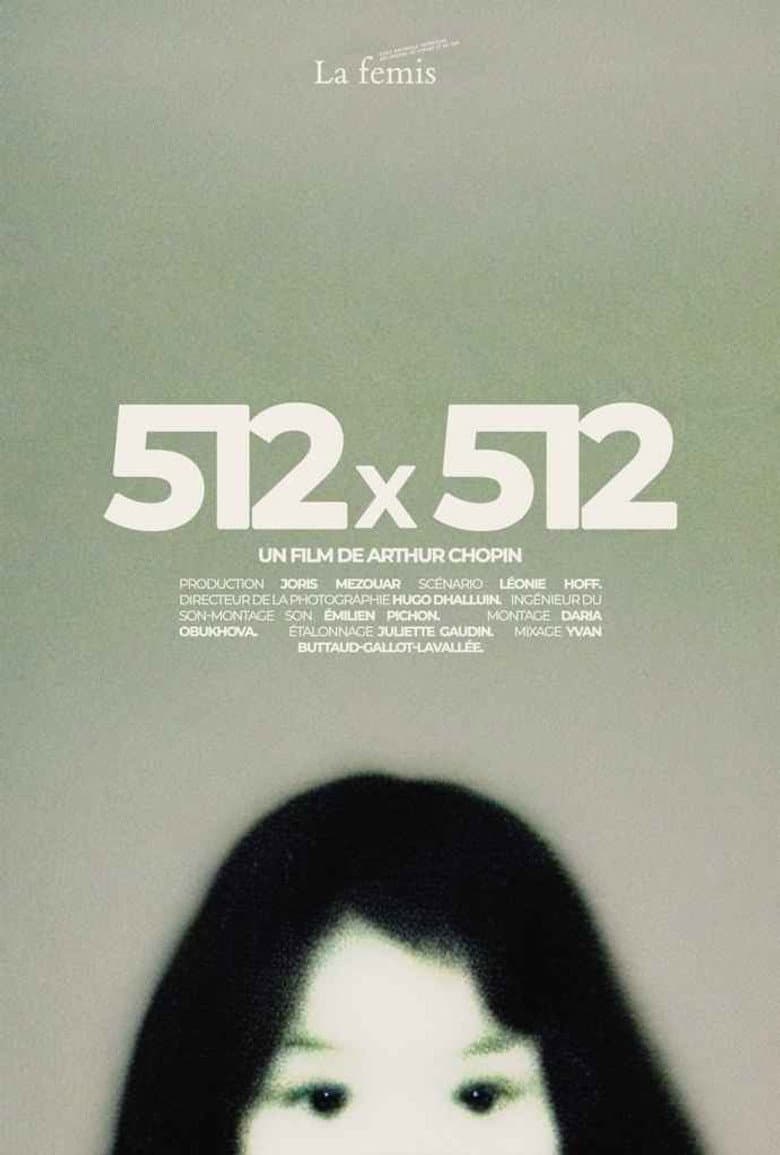 512X512 poster