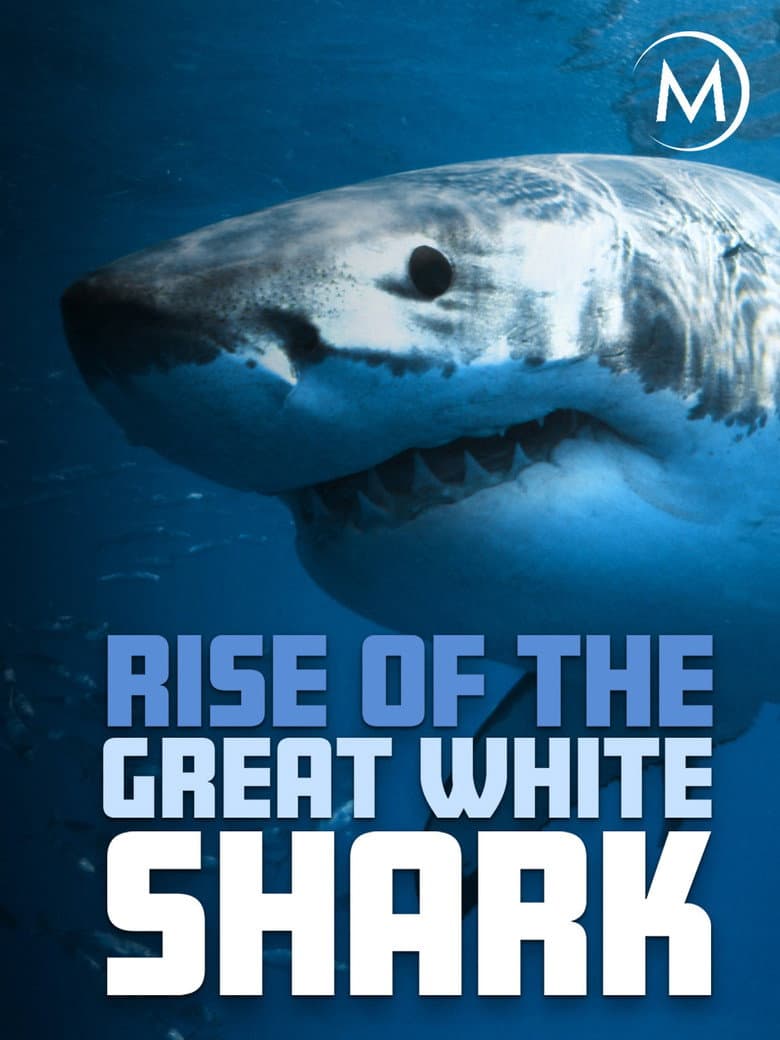 Rise Of The Great White Shark poster