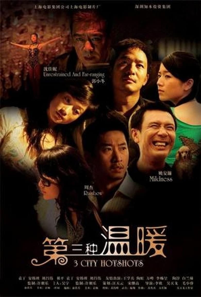 3 City Hotshots poster