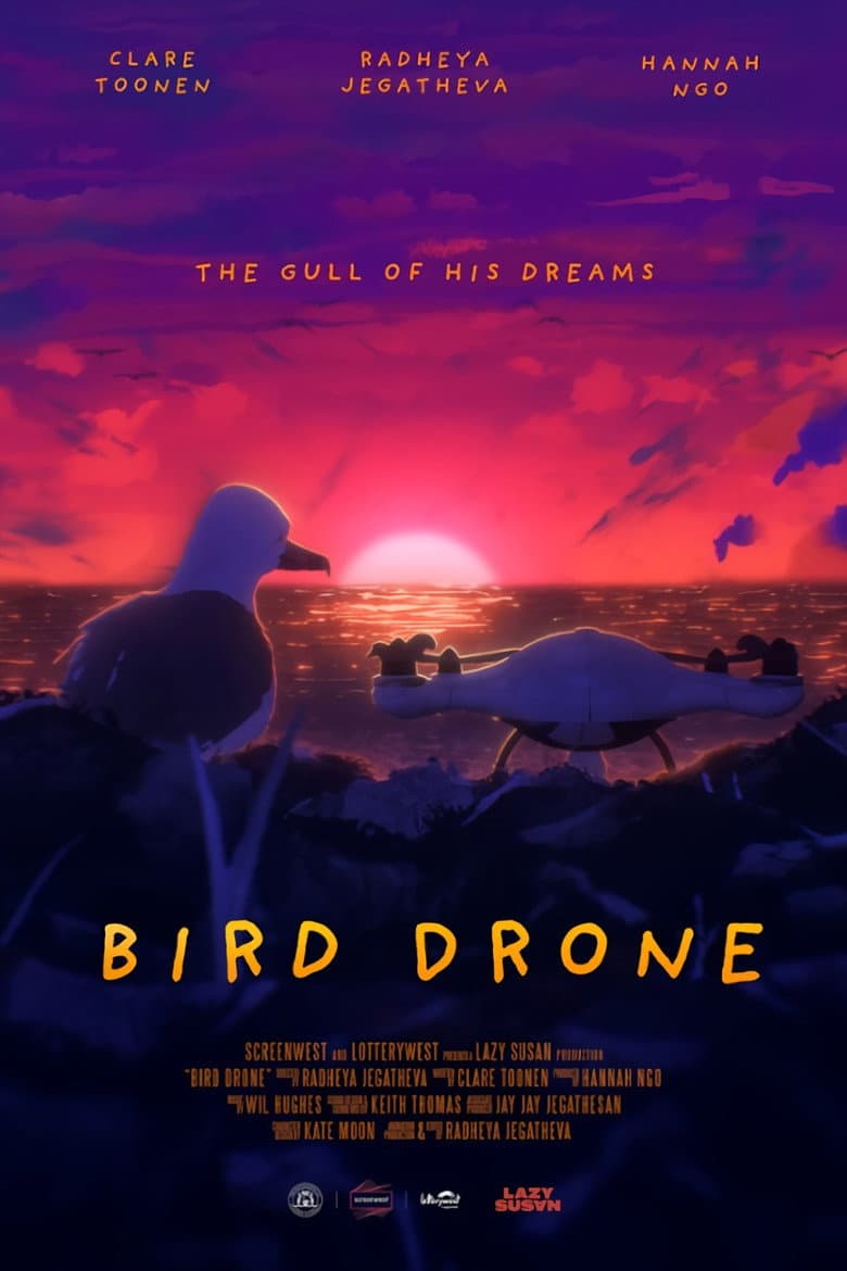 Bird Drone poster
